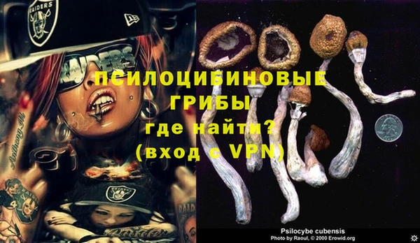 ECSTASY Волосово