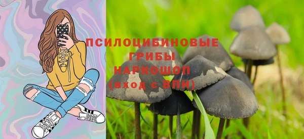 ECSTASY Волосово